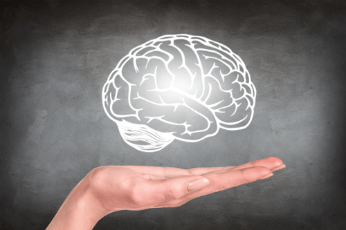 picture of a brain